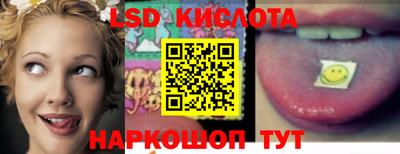 прущие грибы Можга