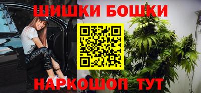 прущие грибы Можга