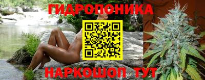 прущие грибы Можга