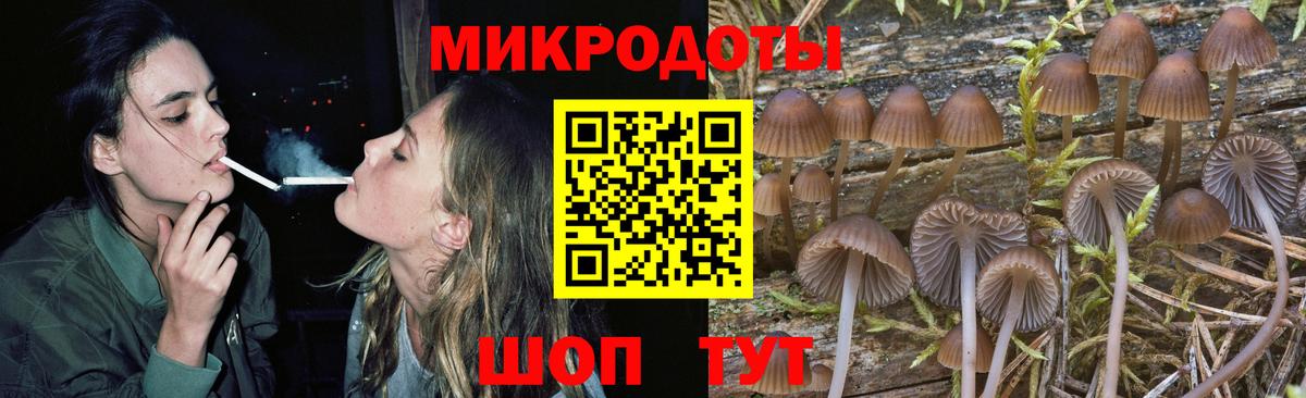 Гашиш Электрогорск